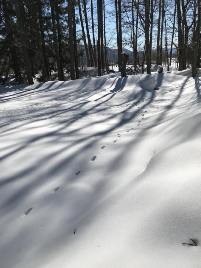 Hakuba Cottage Gram Екстер'єр фото