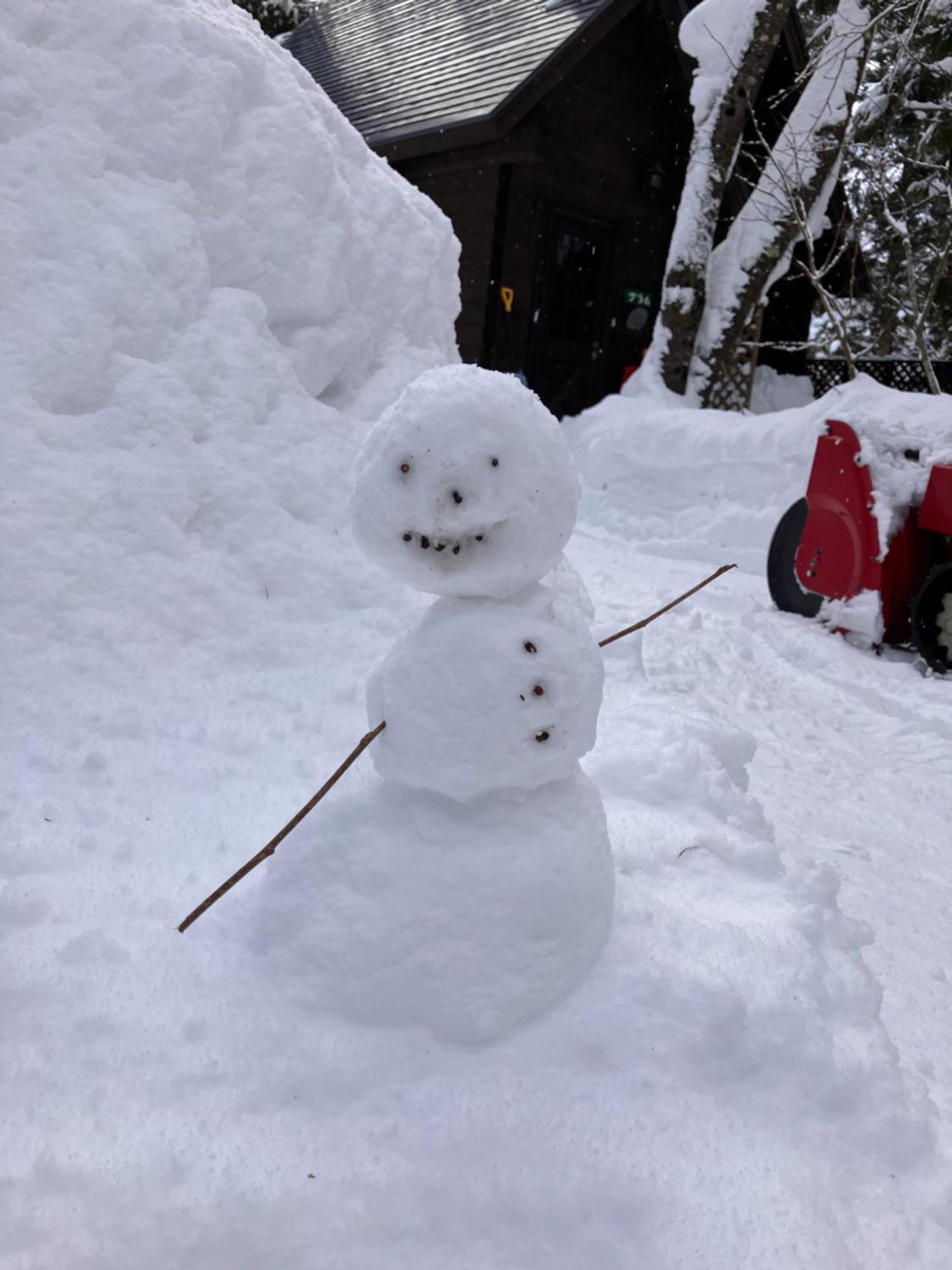Hakuba Cottage Gram Екстер'єр фото