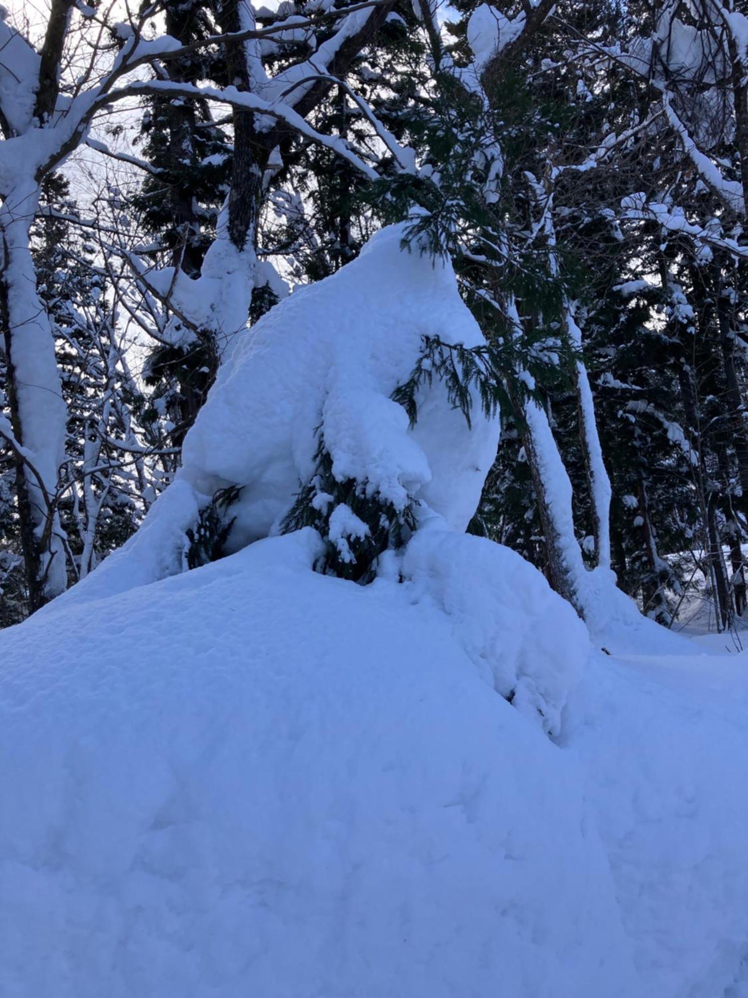 Hakuba Cottage Gram Екстер'єр фото
