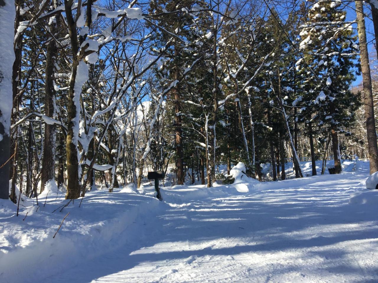 Hakuba Cottage Gram Екстер'єр фото