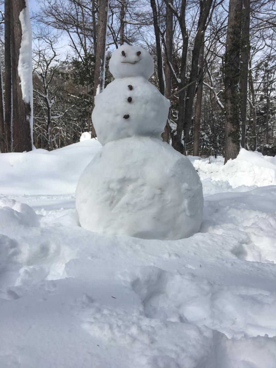 Hakuba Cottage Gram Екстер'єр фото