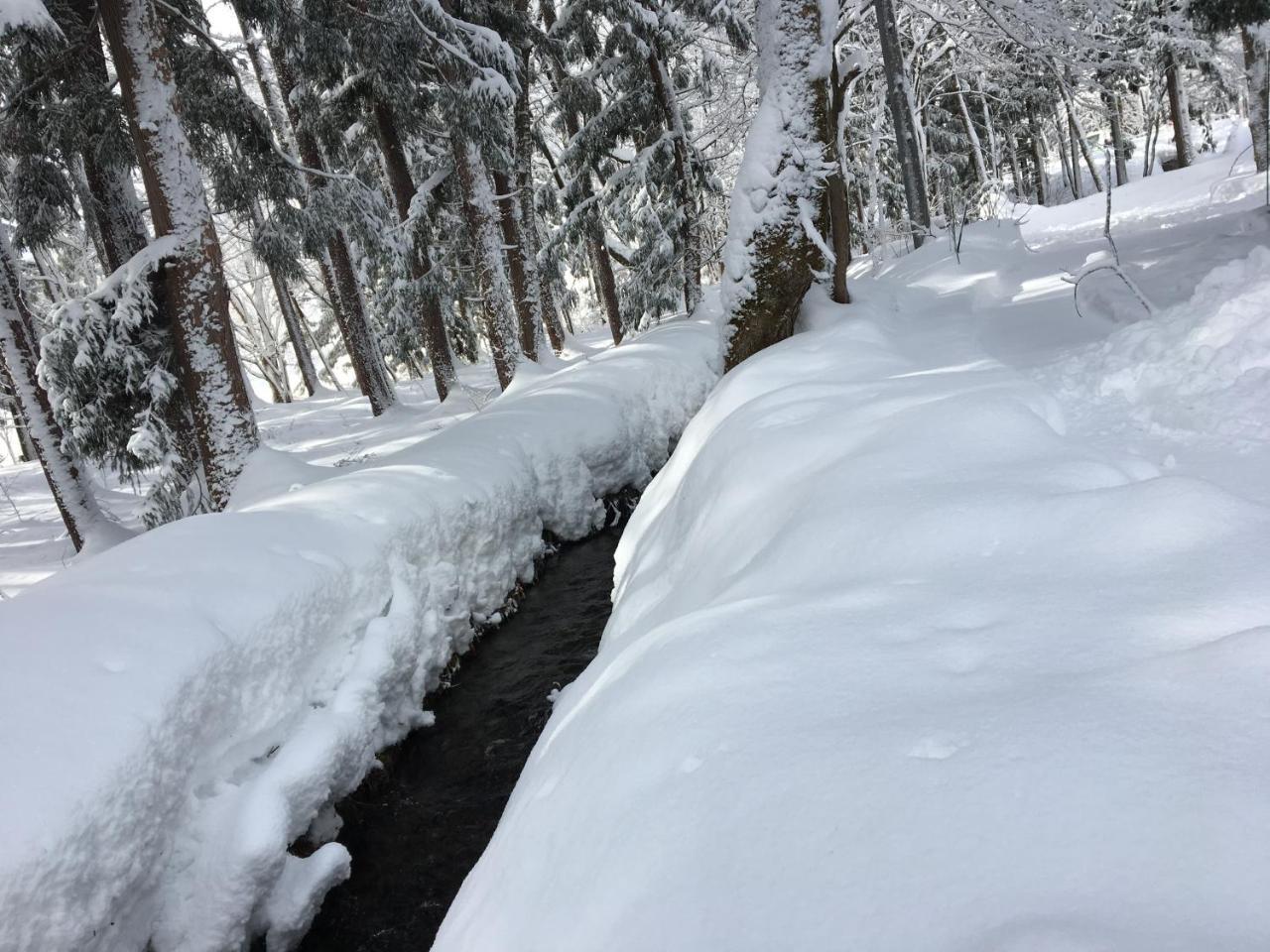 Hakuba Cottage Gram Екстер'єр фото