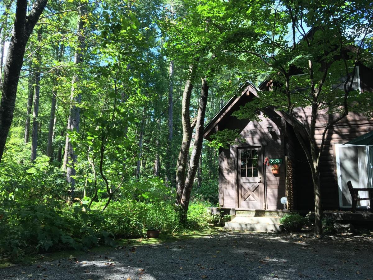 Hakuba Cottage Gram Екстер'єр фото