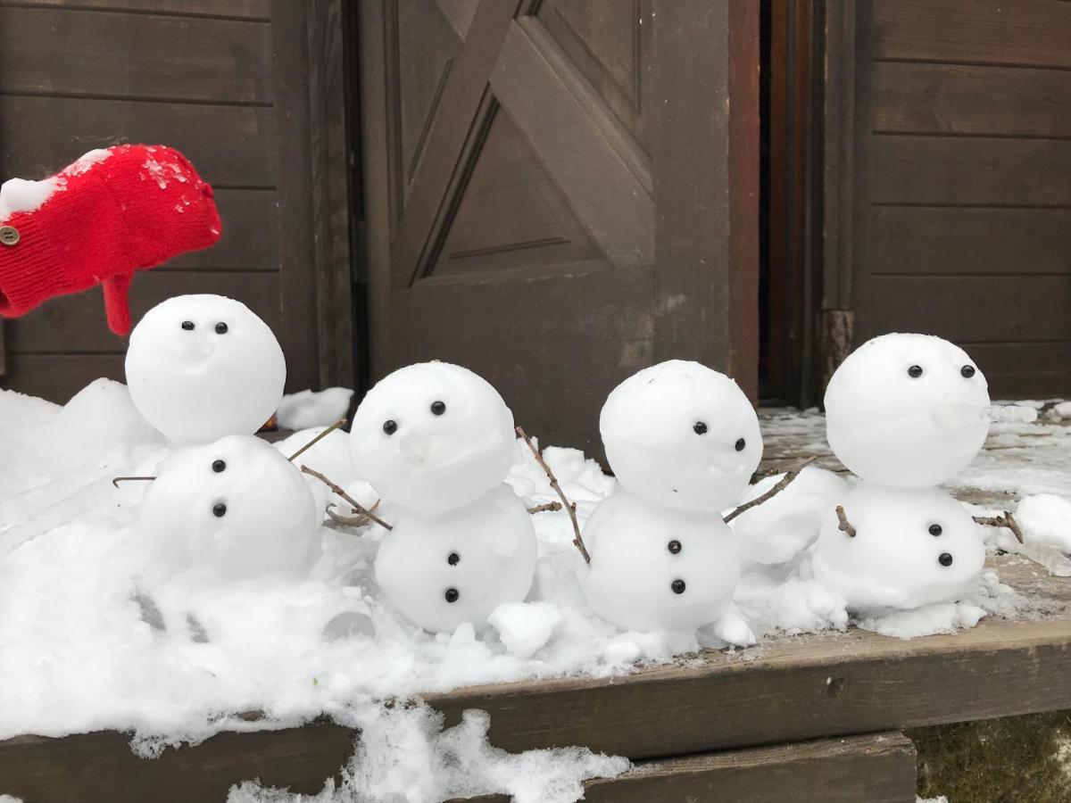 Hakuba Cottage Gram Екстер'єр фото